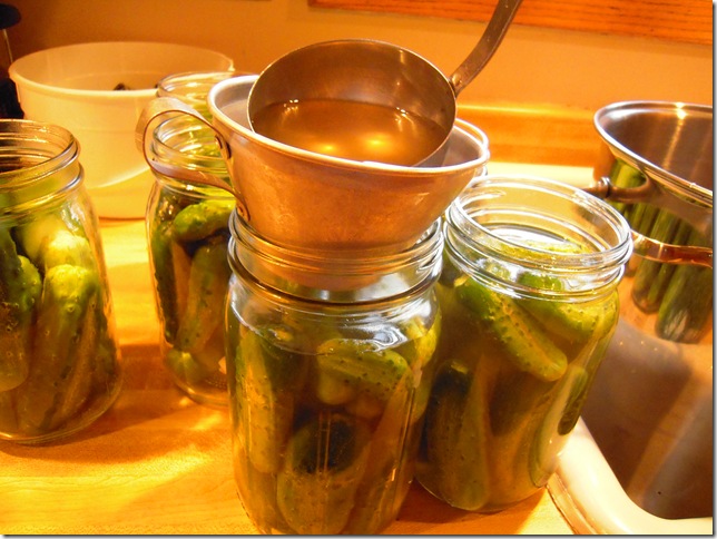 Food to Eat and Fill Your Soul: RUSSIAN DILL PICKLES